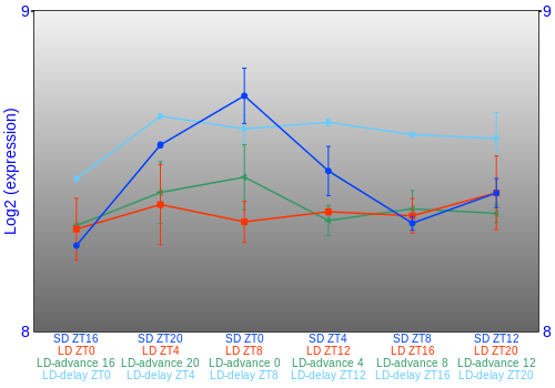 Expression graph
