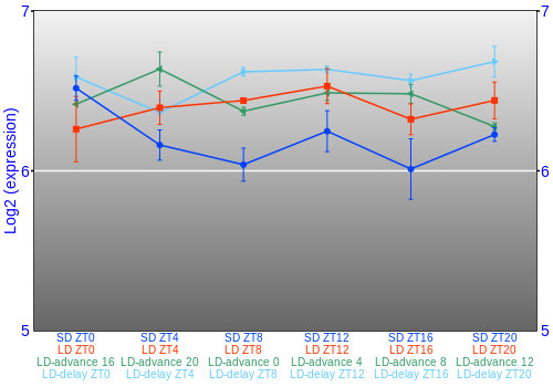 Expression graph