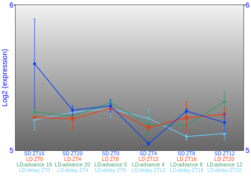 Expression graph