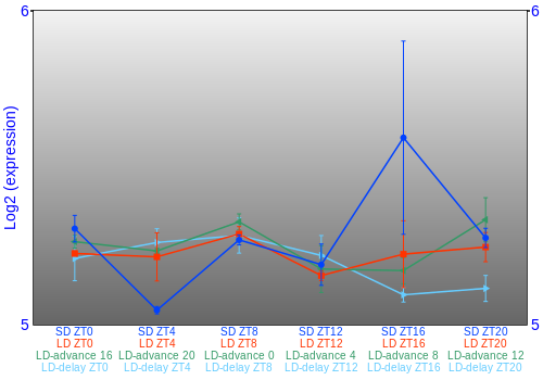 Expression graph