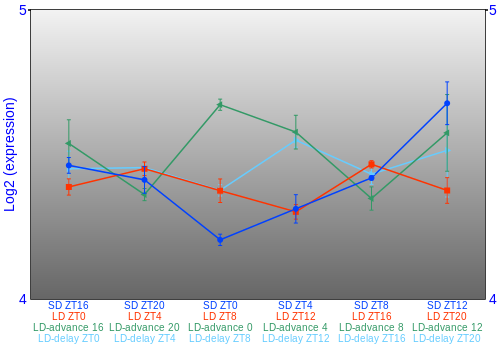 Expression graph