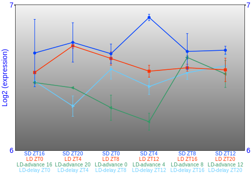 Expression graph