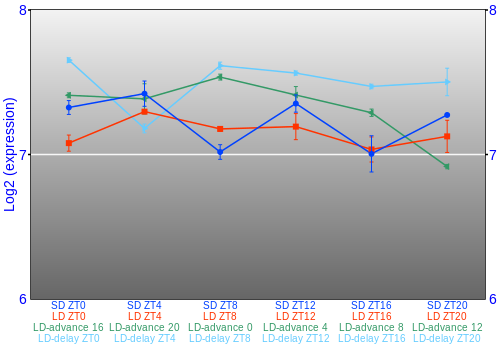 Expression graph