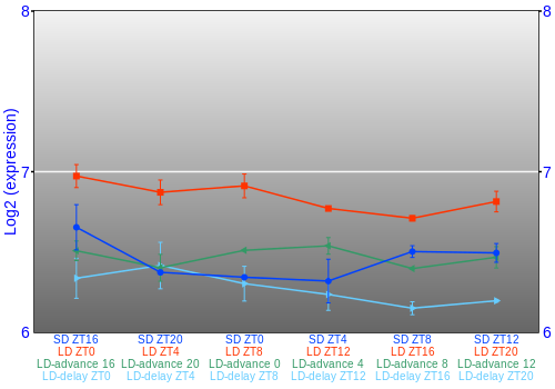 Expression graph