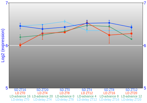 Expression graph