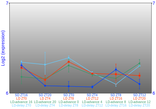 Expression graph
