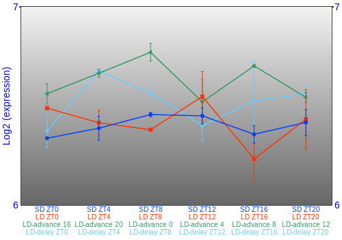 Expression graph