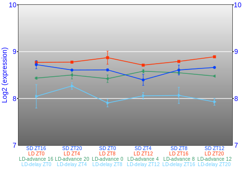 Expression graph