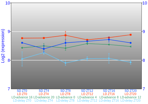 Expression graph