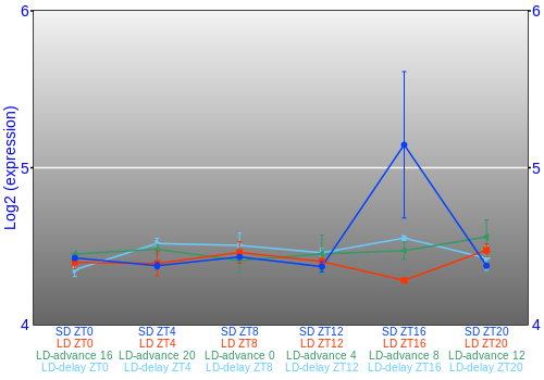 Expression graph