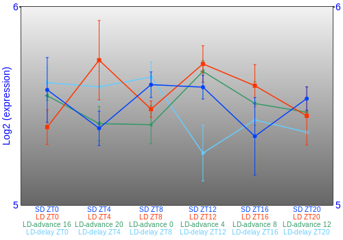 Expression graph