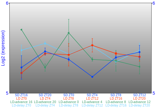 Expression graph