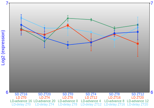 Expression graph
