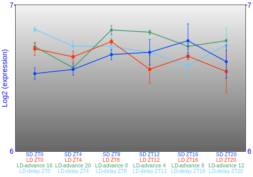 Expression graph