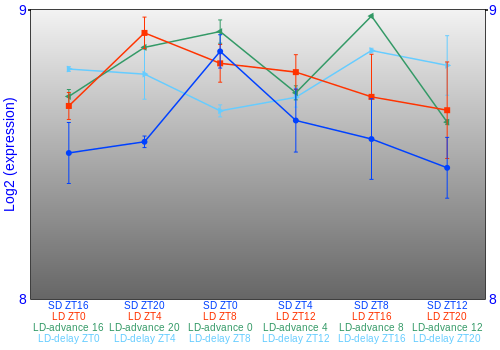 Expression graph