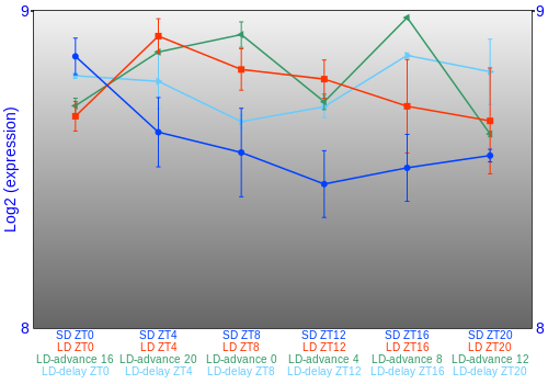 Expression graph