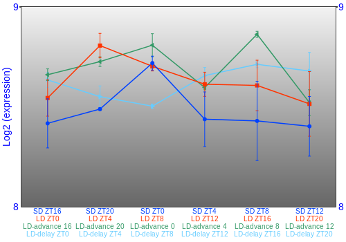 Expression graph