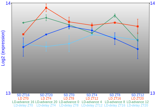 Expression graph