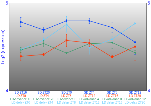 Expression graph