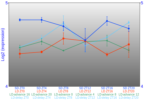 Expression graph