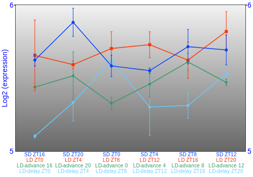 Expression graph
