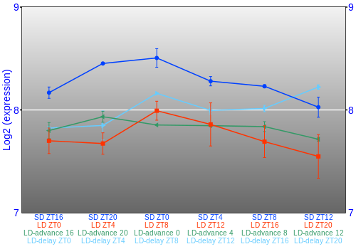 Expression graph