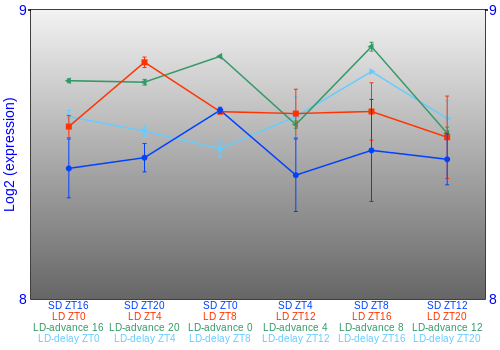 Expression graph
